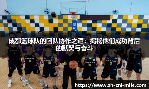 成都篮球队的团队协作之道：揭秘他们成功背后的默契与奋斗